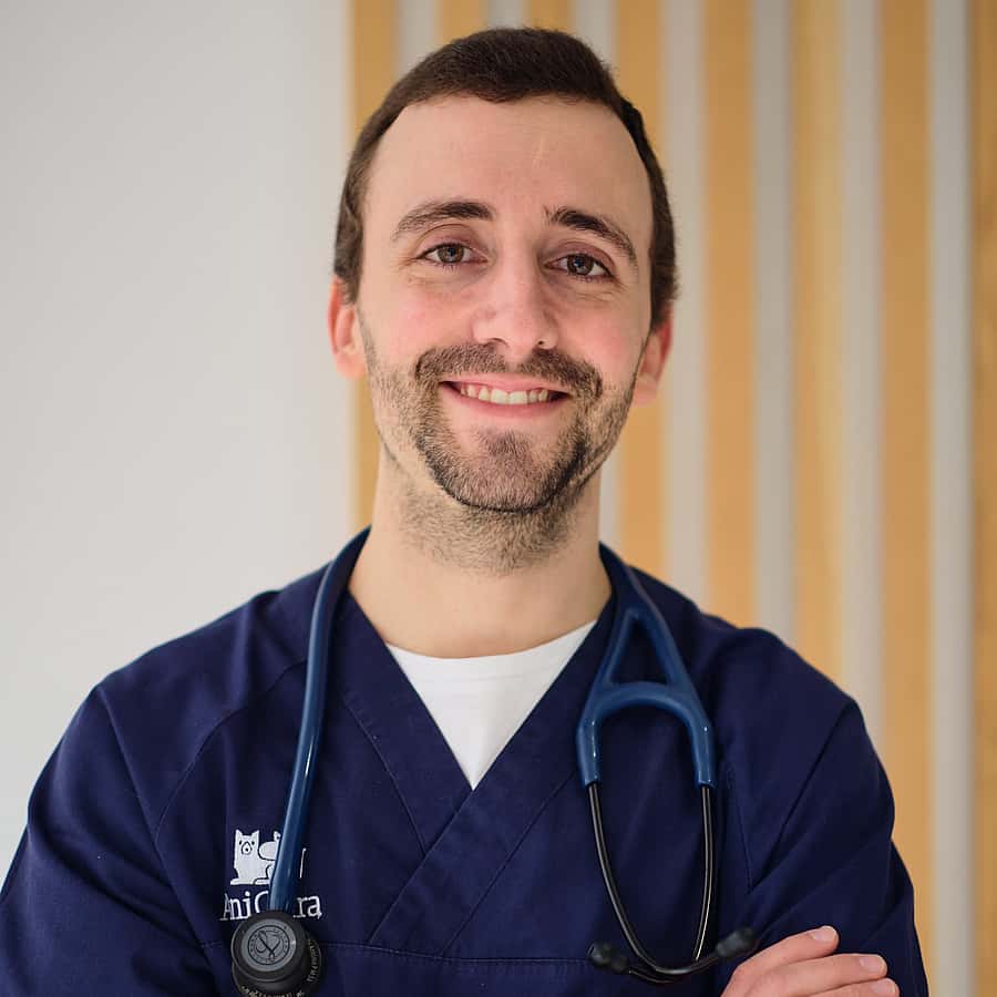 Médico Veterinário
