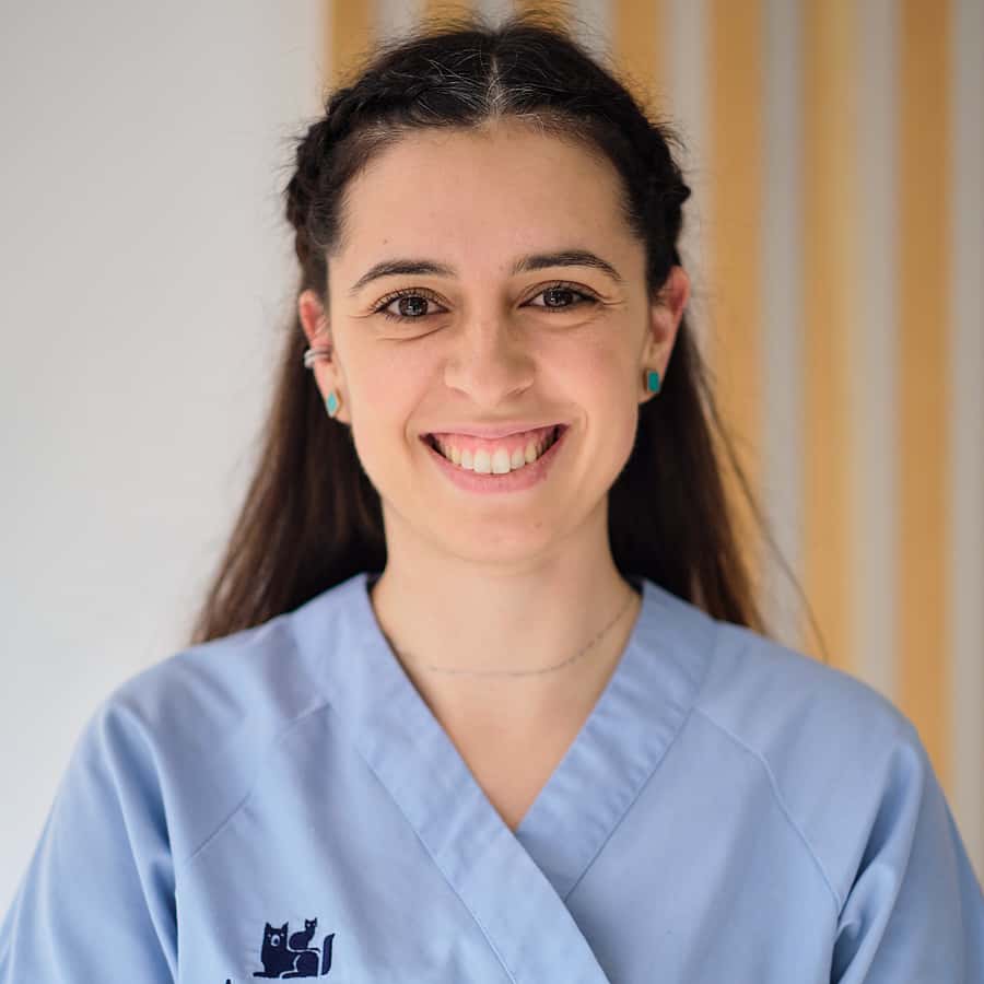 Enfermeiro Veterinário