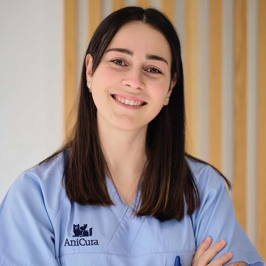 Enfermeiro Veterinário