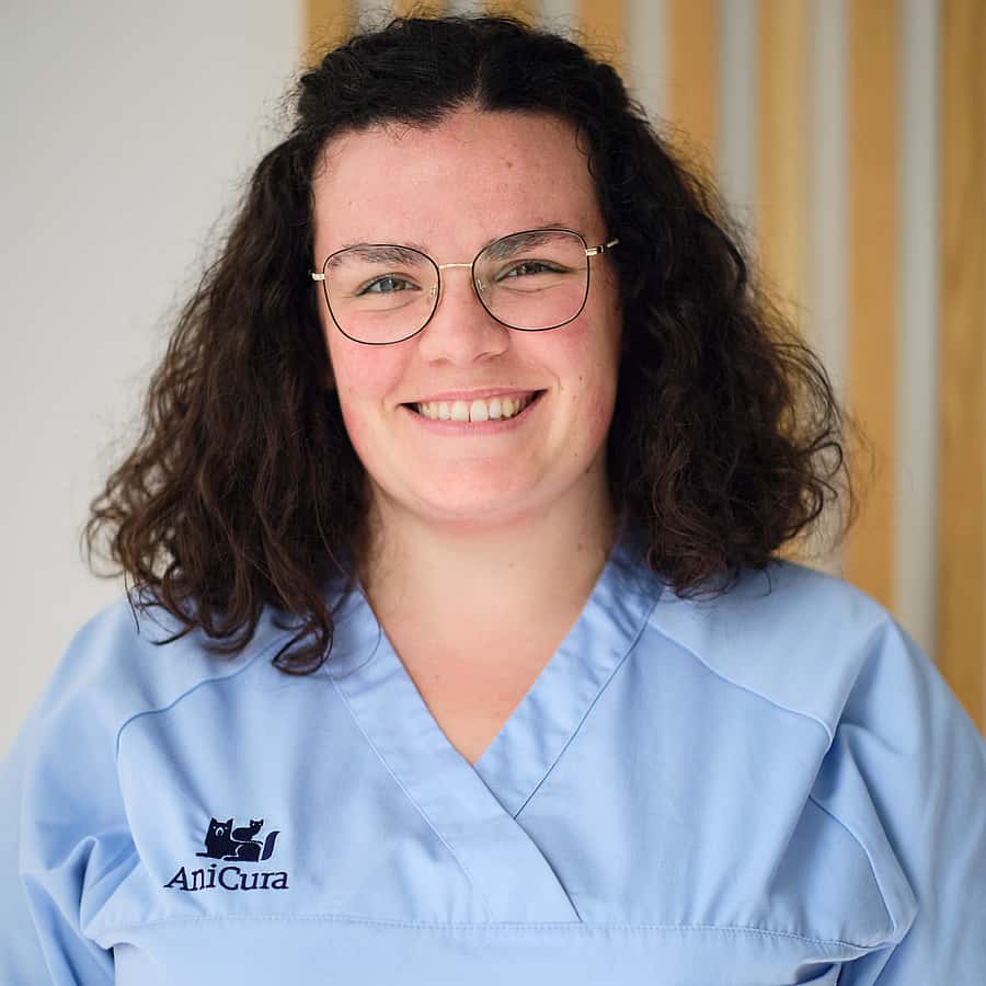 Enfermeiro Veterinário
