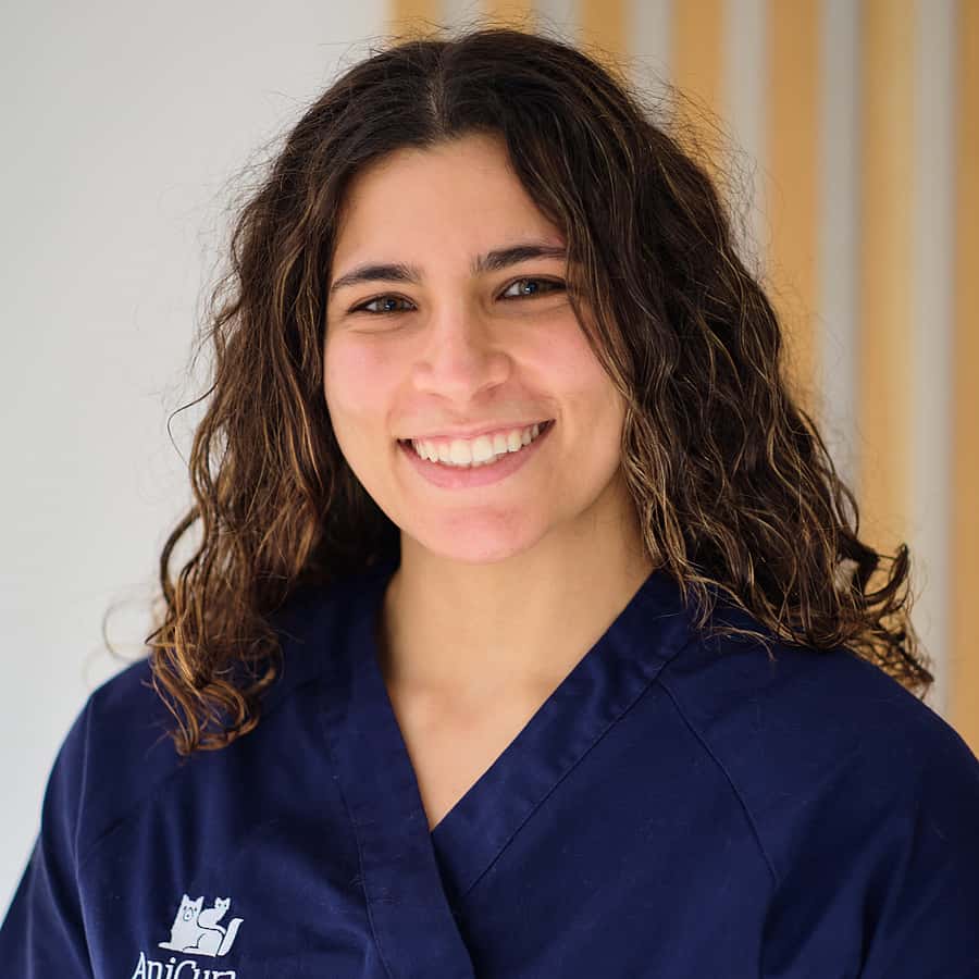 Médico Veterinário