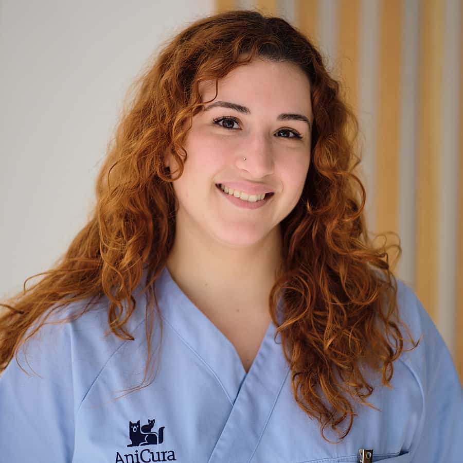 Enfermeiro Veterinário