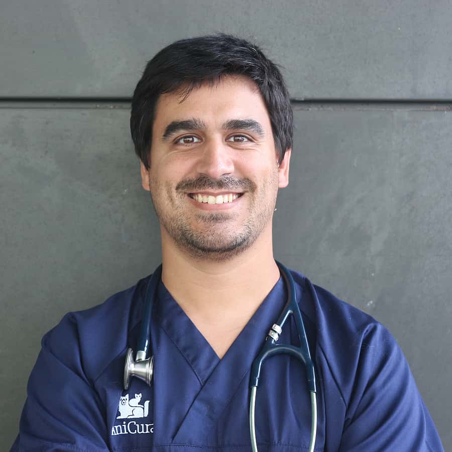 João Neves