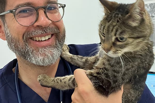 Uma pessoa segurando um gato.