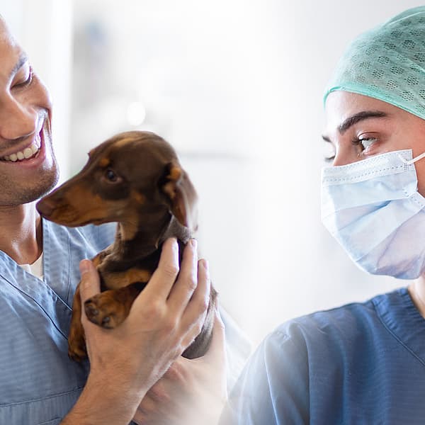 Um casal de veterinários segurando um cachorro.