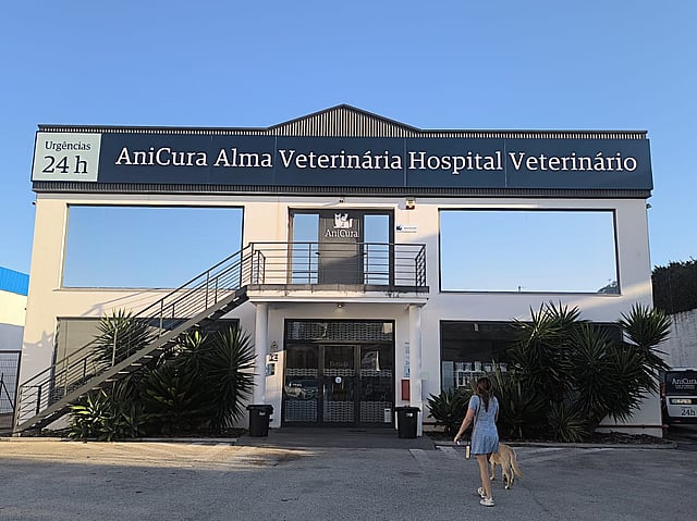 Uma pessoa passeando com um cachorro fora de um prédio.