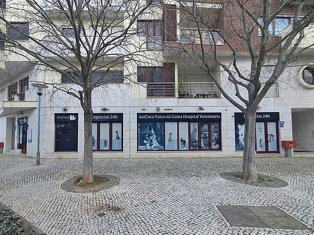 veterinários com um cão grande