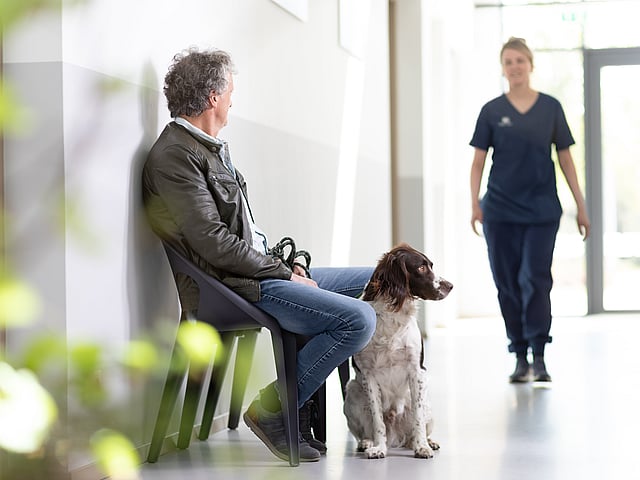 cão e cuidador na sala de espera