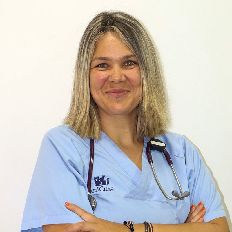 Fotografia de Daniela Antunes, Enfermeira Veterinária