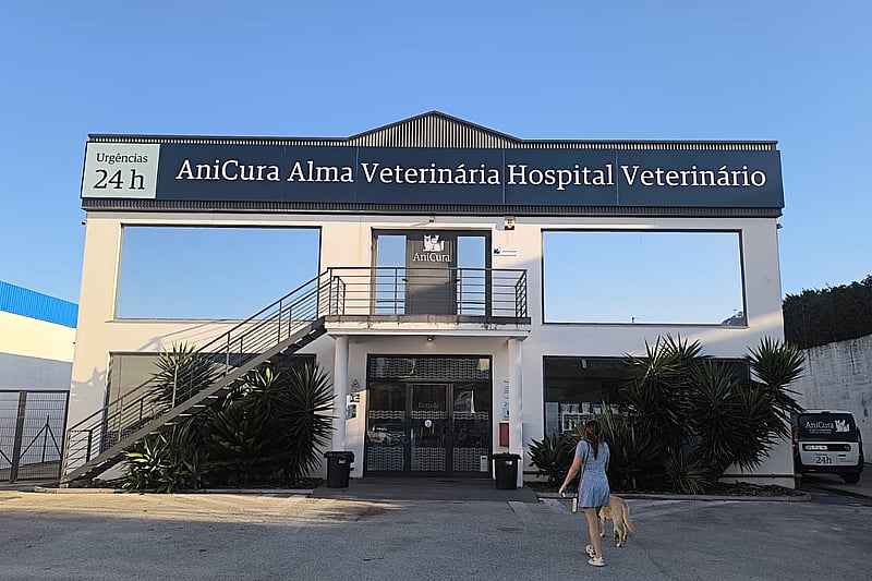 Uma pessoa passeando com um cachorro fora de um prédio.