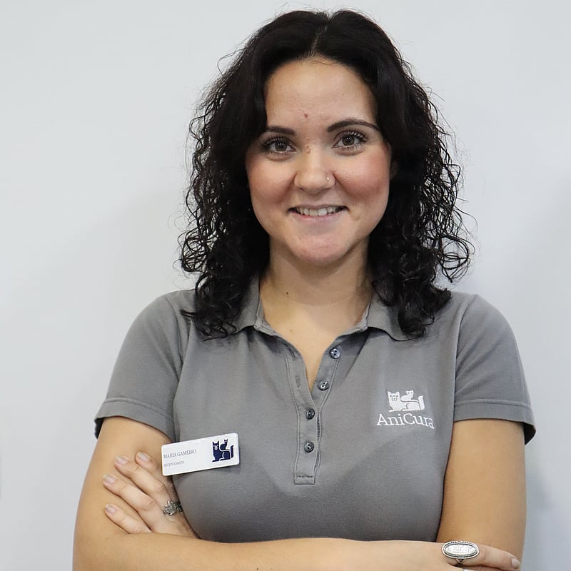 Fotografia de Maria Gameiro, Recepcionista