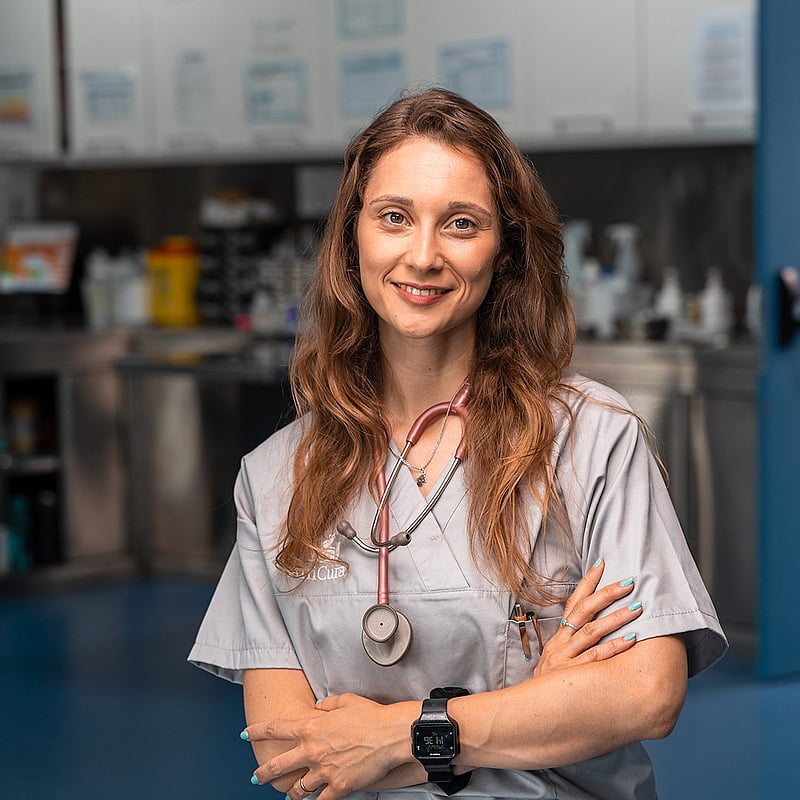 Fotografia de Joana Ferreira, Enfermeira Veterinária