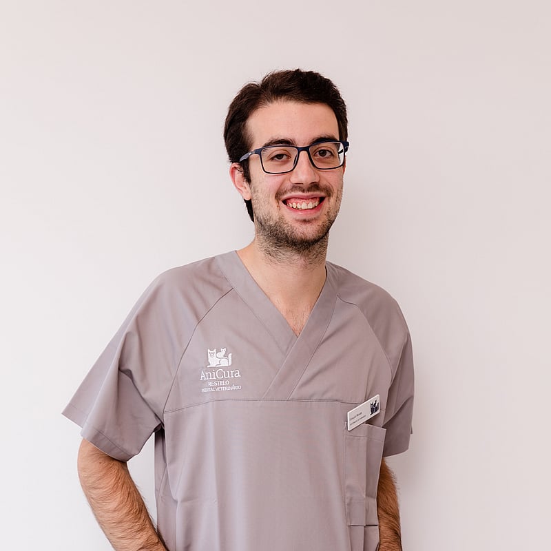 Fotografia de Gonçalo Morais, Enfermeiro Veterinário