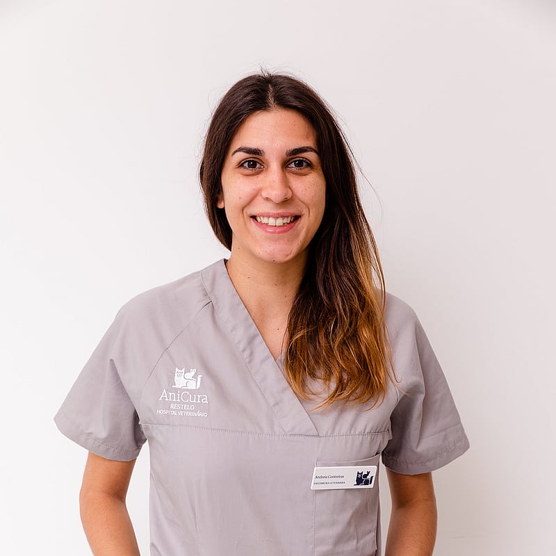 Fotografia de Andreia Contreiras, Enfermeira Veterinária