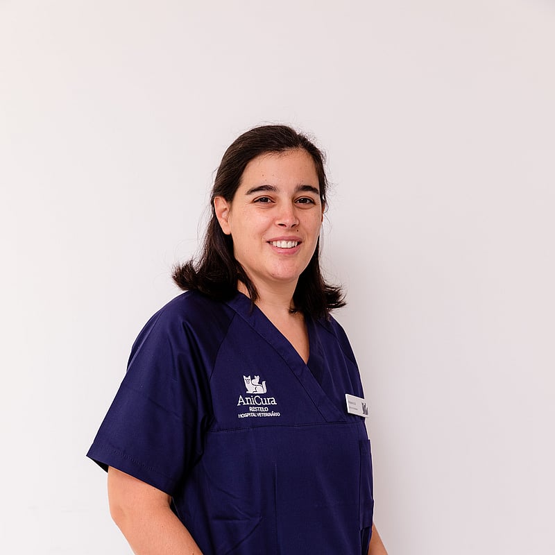 Fotografia de Margarida Cid, Diretora Clínica / Médica Veterinária