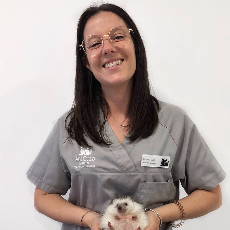 Fotografia de Mariana Saias, Enfermeira Veterinária