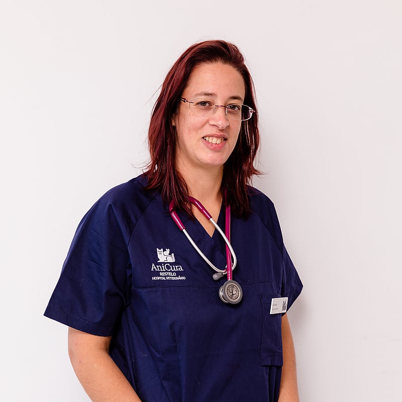Fotografia de Ana Damas, Médica Veterinária
