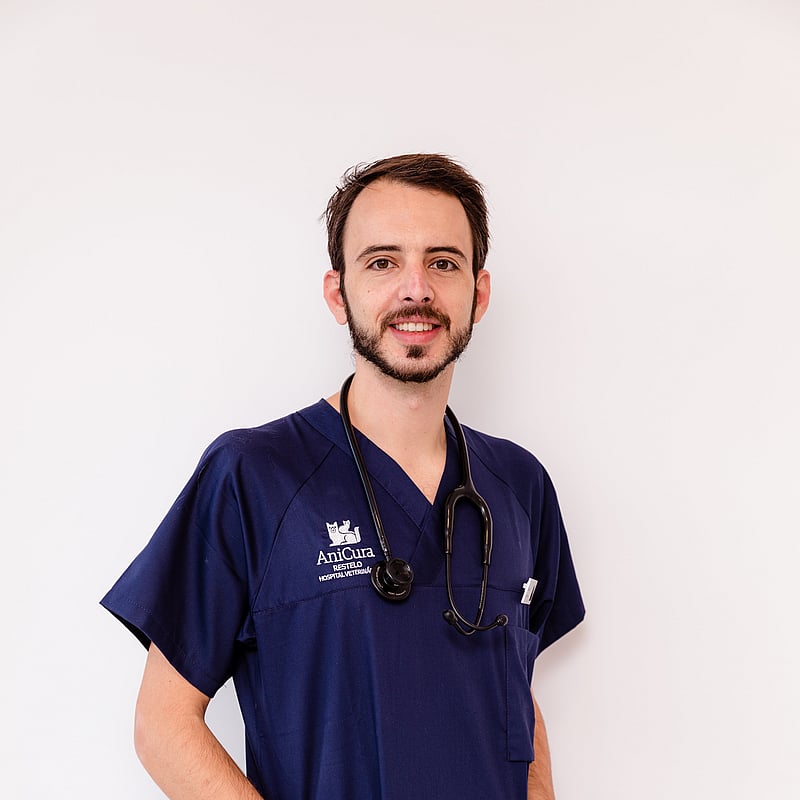 Fotografia de Hugo Lucas, Médico Veterinário