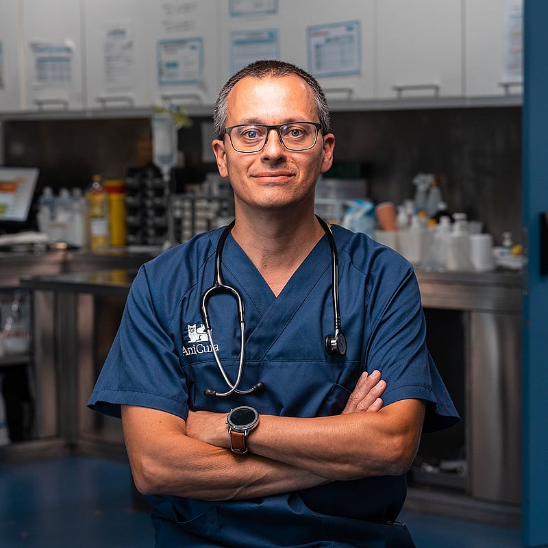 Fotografia de Rui Máximo, Médico Veterinário