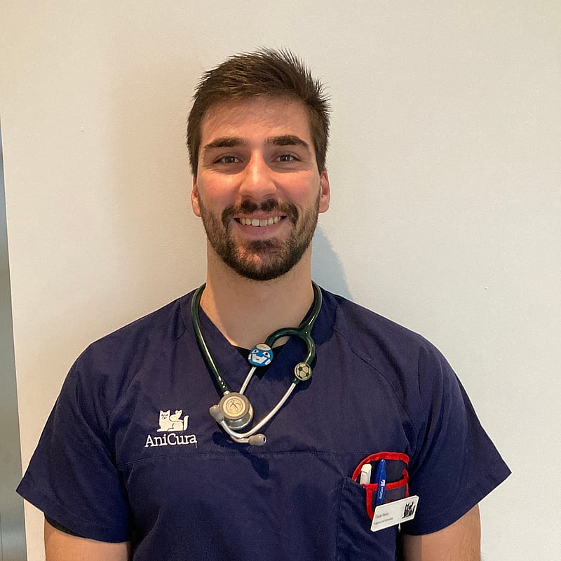Fotografia de João Vieira, Médico Veterinário
