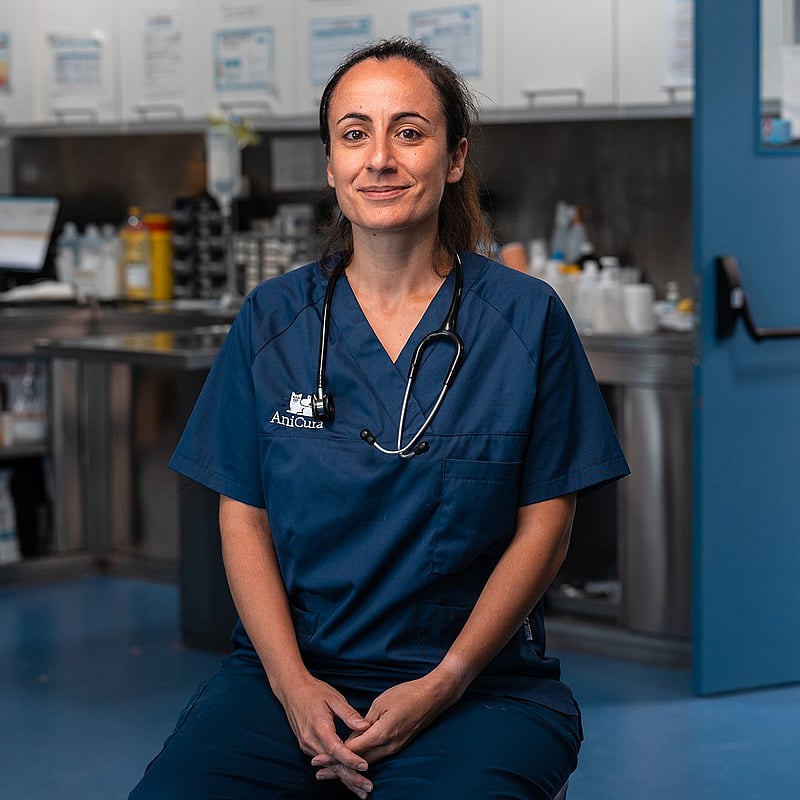 Fotografia de Brigite Pedro, Médica Veterinária