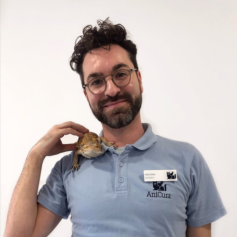 Fotografia de Paulo Dias, Auxiliar Veterinário