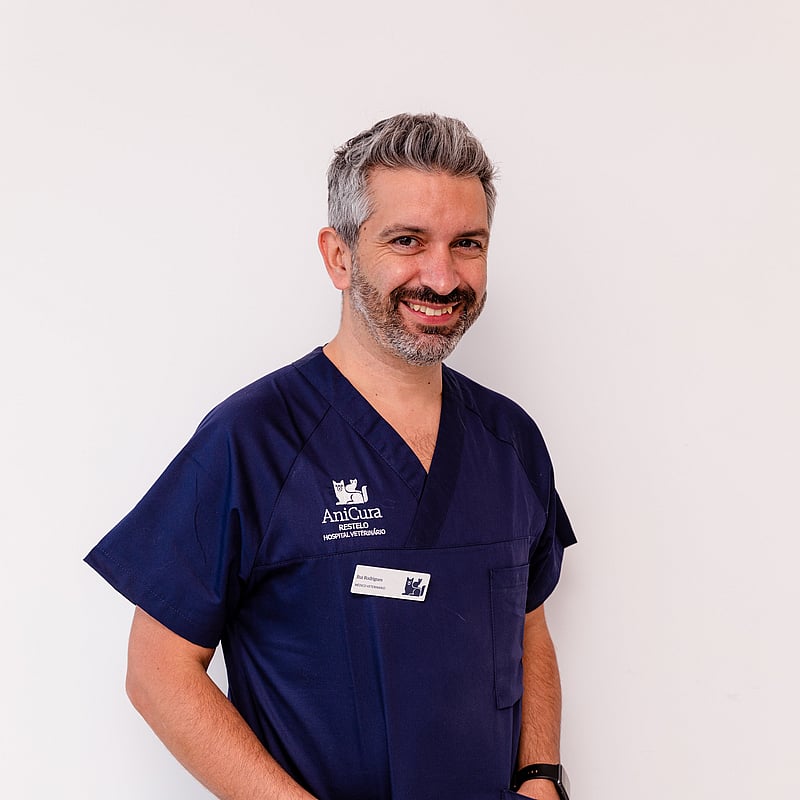 Fotografia de Rui Rodrigues, Médico Veterinário