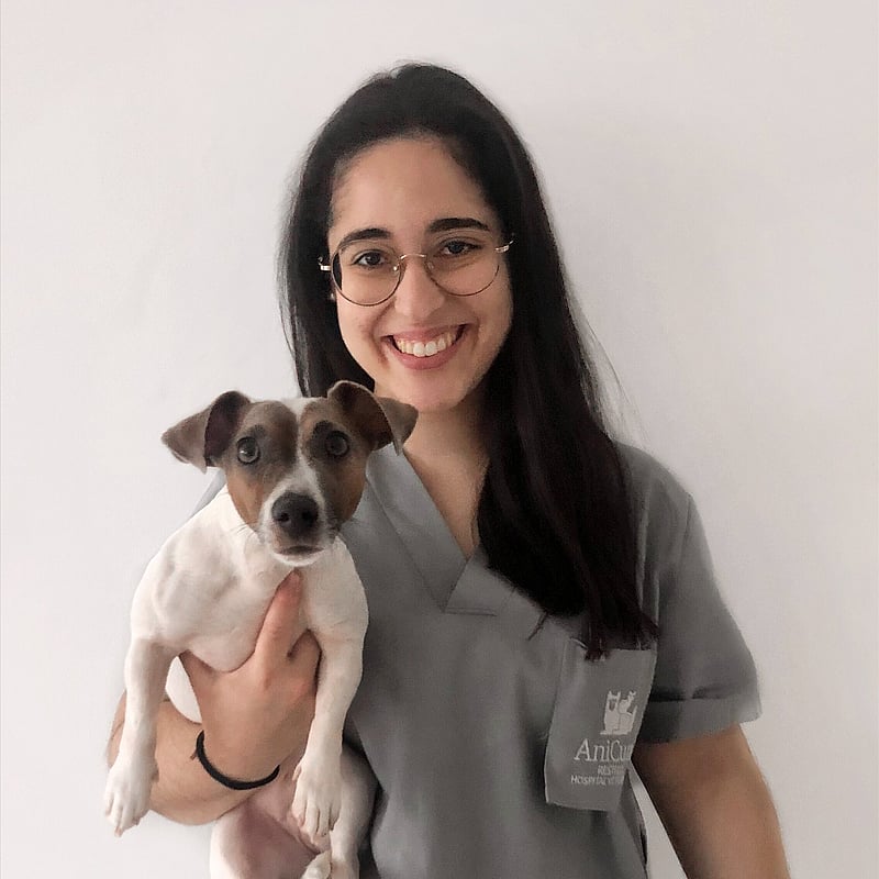 Fotografia de Beatriz Gonçalves, Auxiliar Veterinária