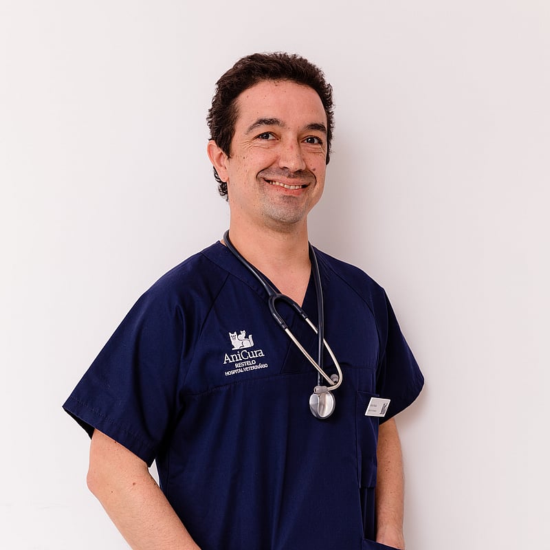 Fotografia de Simão Nabais, Médico Veterinário