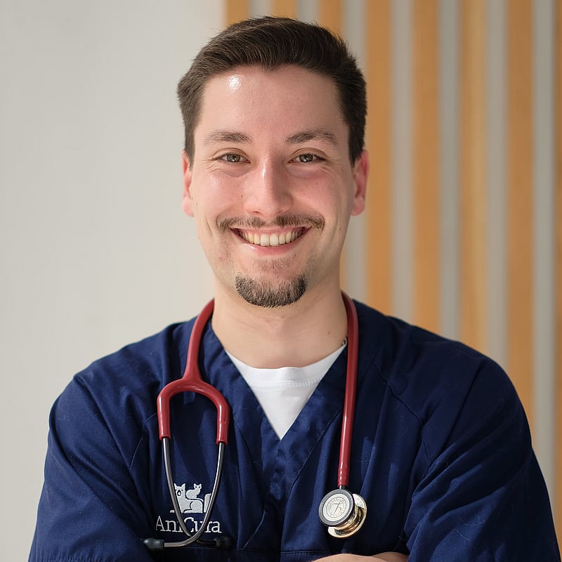 Fotografia de Telmo Monteiro, Médico Veterinário