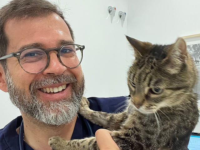 Uma pessoa segurando um gato.