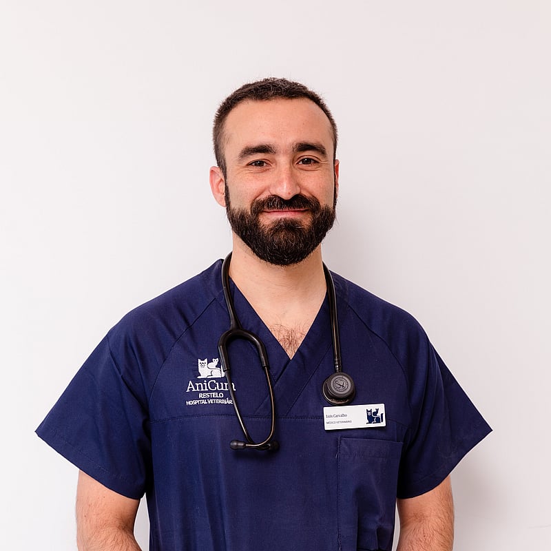 Fotografia de Luis Carvalho, Médico Veterinário