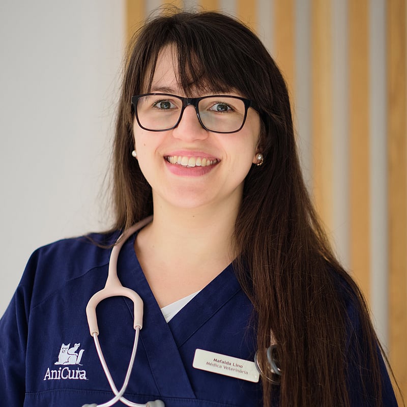 Fotografia de Mafalda Lino, Médica Veterinária