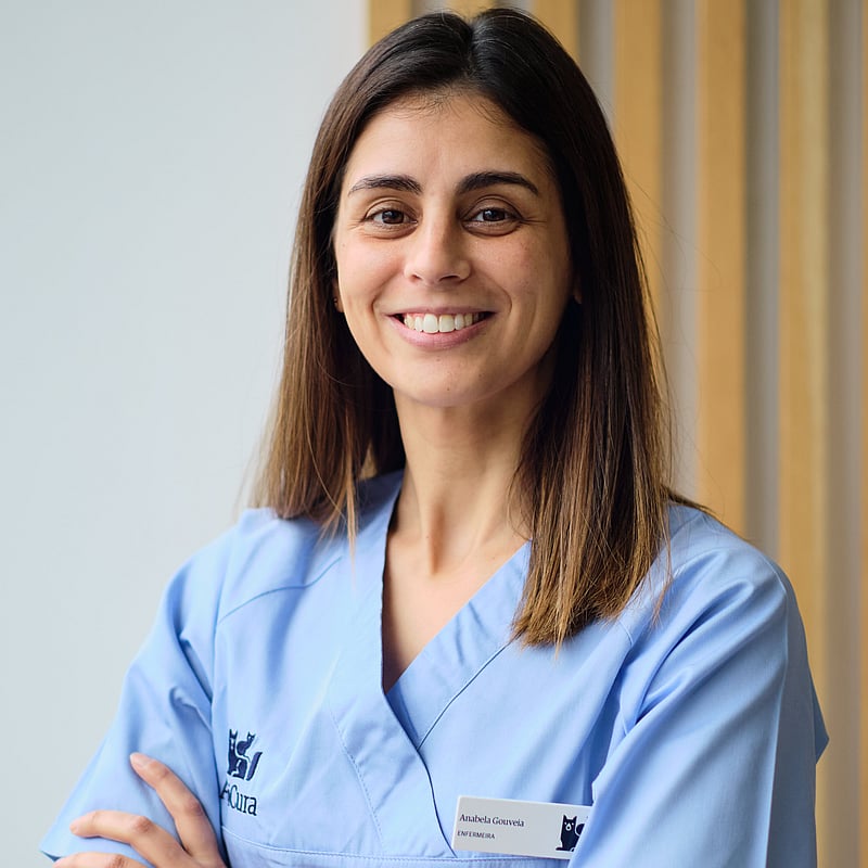 Fotografia de Anabela Gouveia, Enfermeira Veterinária