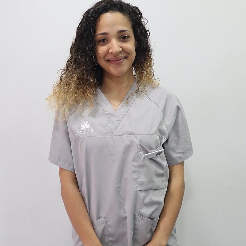 Fotografia de Sandrini Silva, Auxiliar