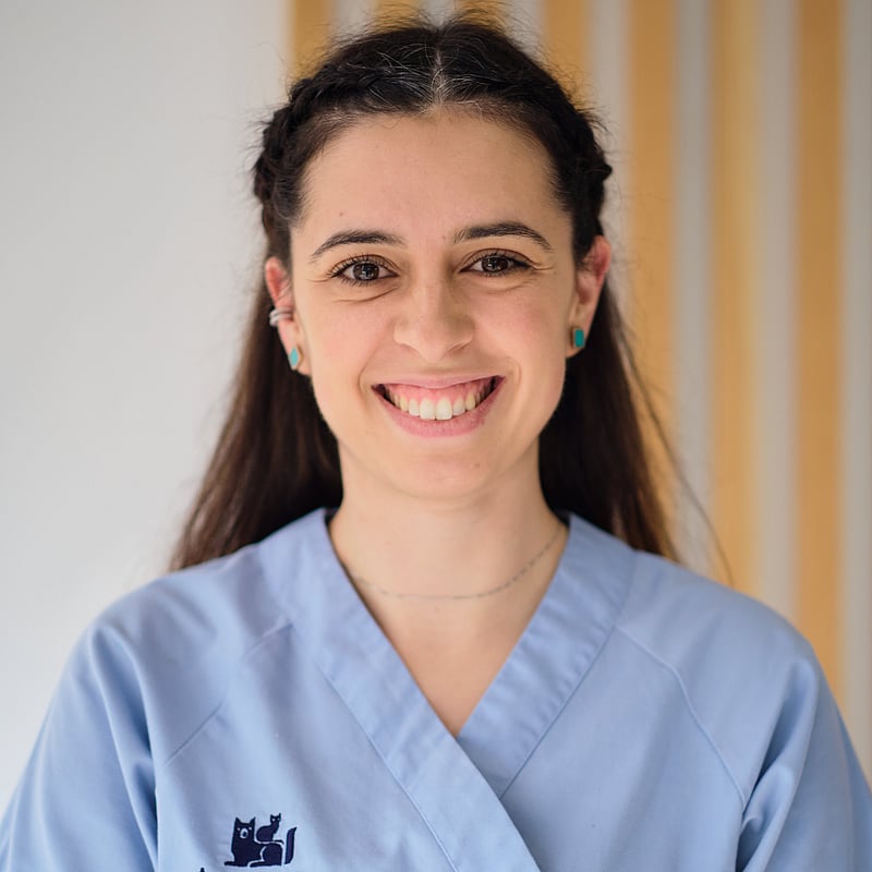 Fotografia de Patrícia Magalhães, Enfermeira Veterinária
