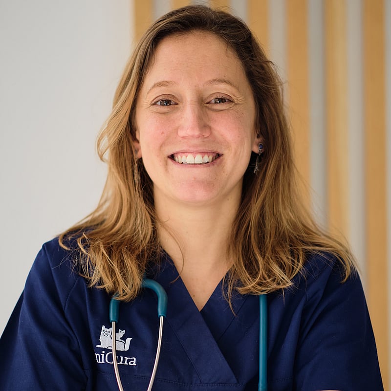 Fotografia de Ana N Ponte, Médica Veterinária