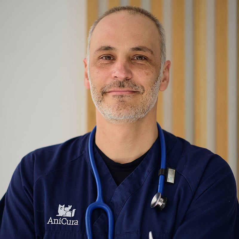 Fotografia de André Pereira, Médico Veterinário Diretor Clínico