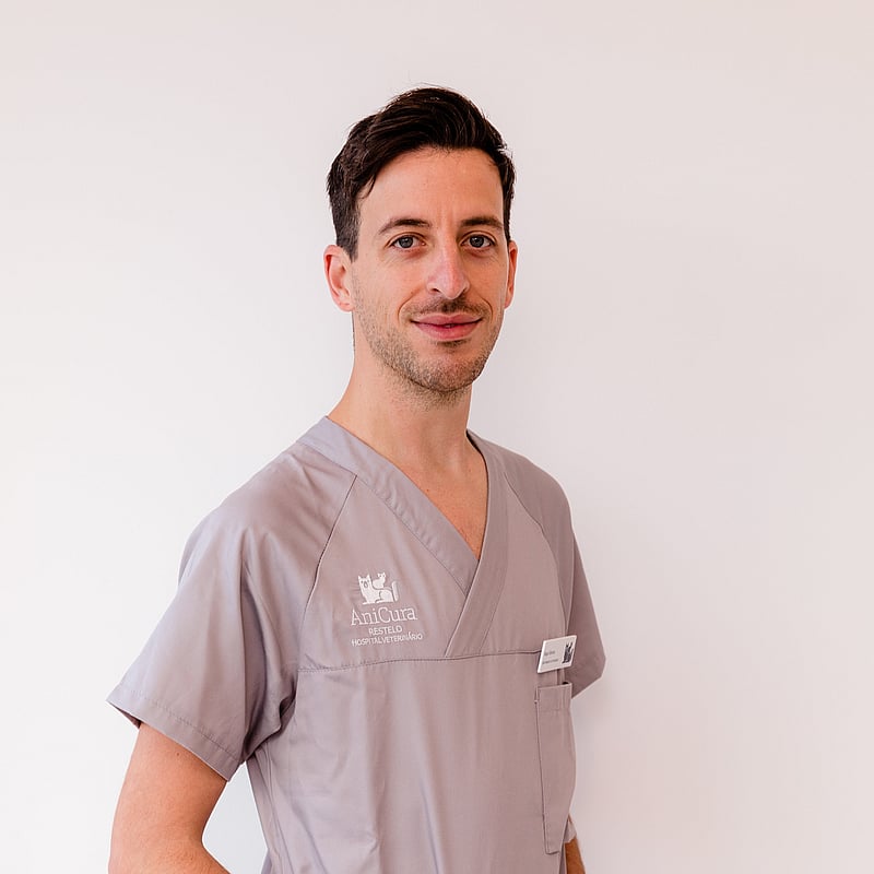 Fotografia de Hugo Oliveira, Enfermeiro Veterinário