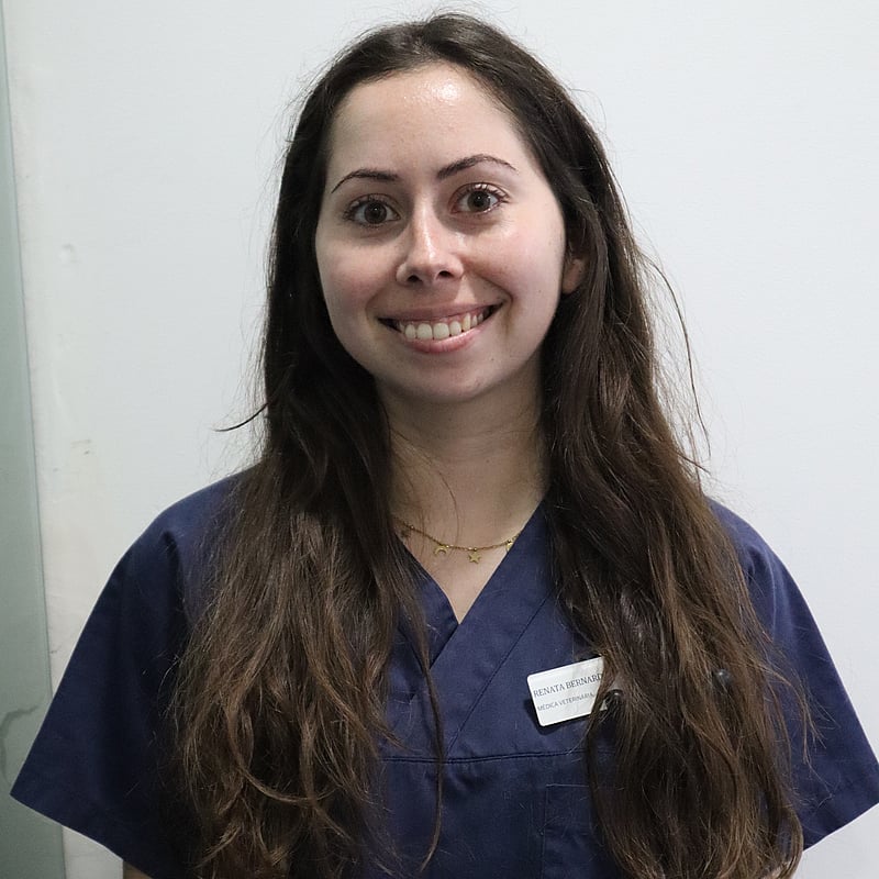 Fotografia de Renata Bernardo, Médica Veterinaria