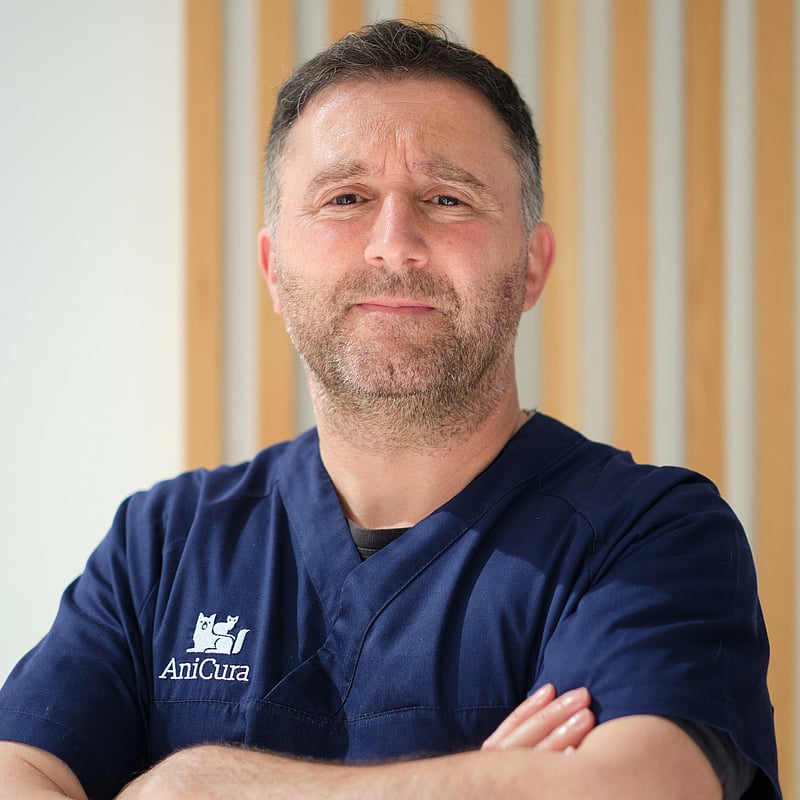 Fotografia de Carlos Adrega, Médico Veterinário Dip Ecvs