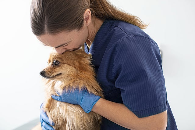 Uma pessoa de azul esfrega beijando um cachorro.