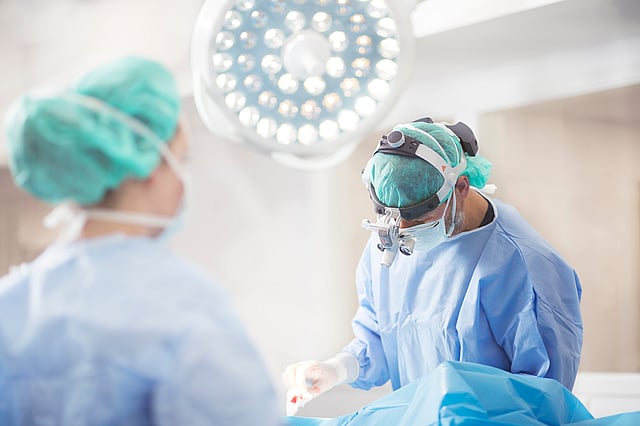 dois veterinários operando na sala de cirurgia