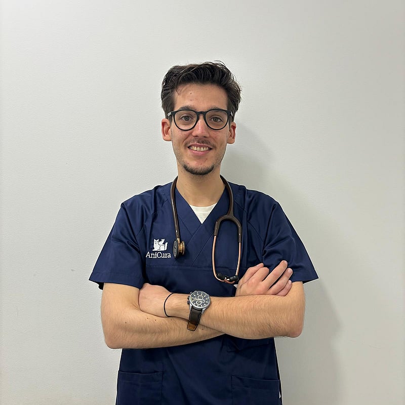 Fotografia de Pedro Baptista, Médico Veterinário