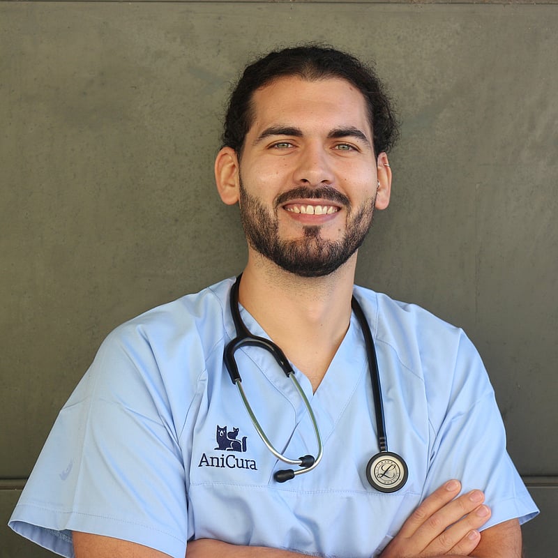 Fotografia de Martim Amaro, Enfermeiro Veterinário