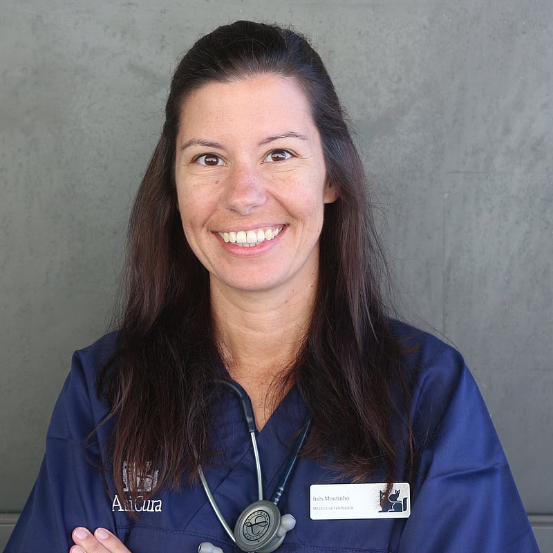 Fotografia de Inês Moutinho, Médica Veterinária