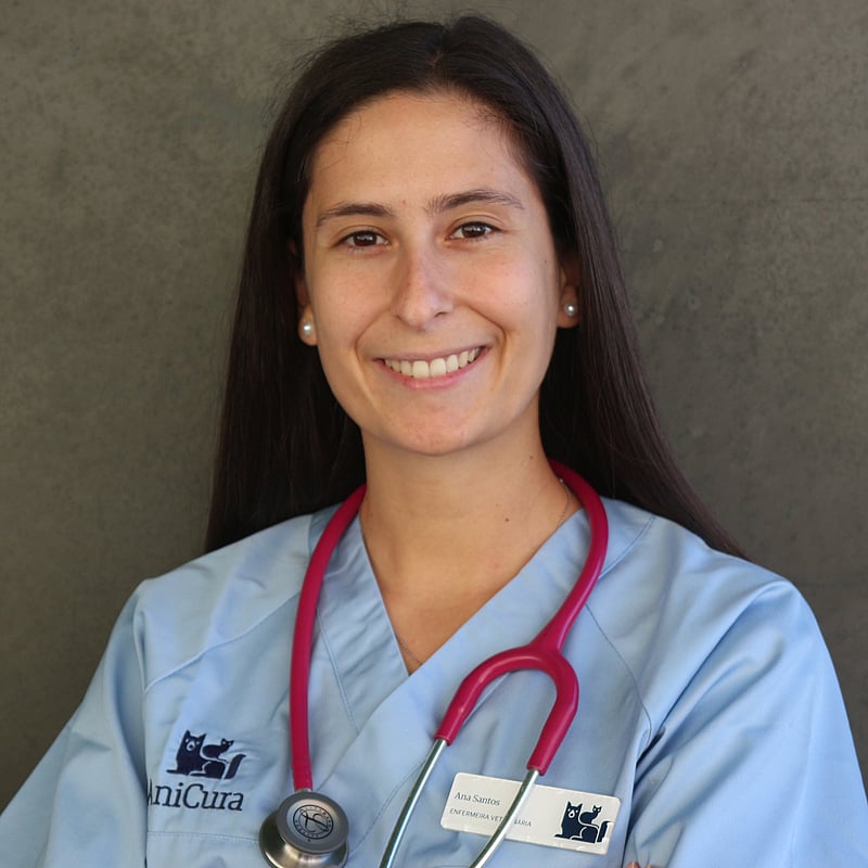 Fotografia de Ana Santos, Enfermeira Veterinária