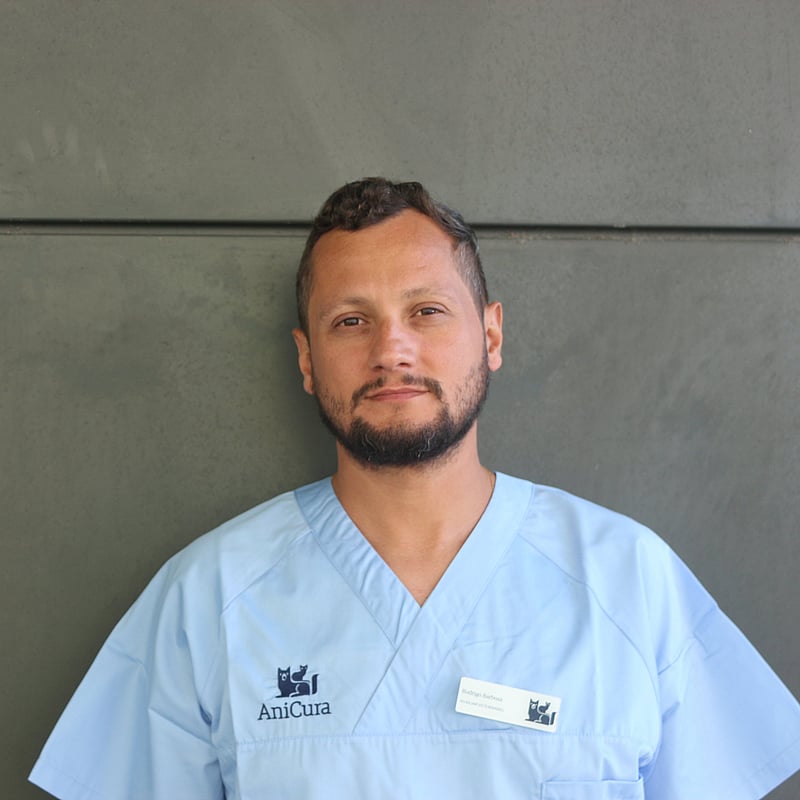 Fotografia de Rodrigo Barbosa, Enfermeiro Veterinário