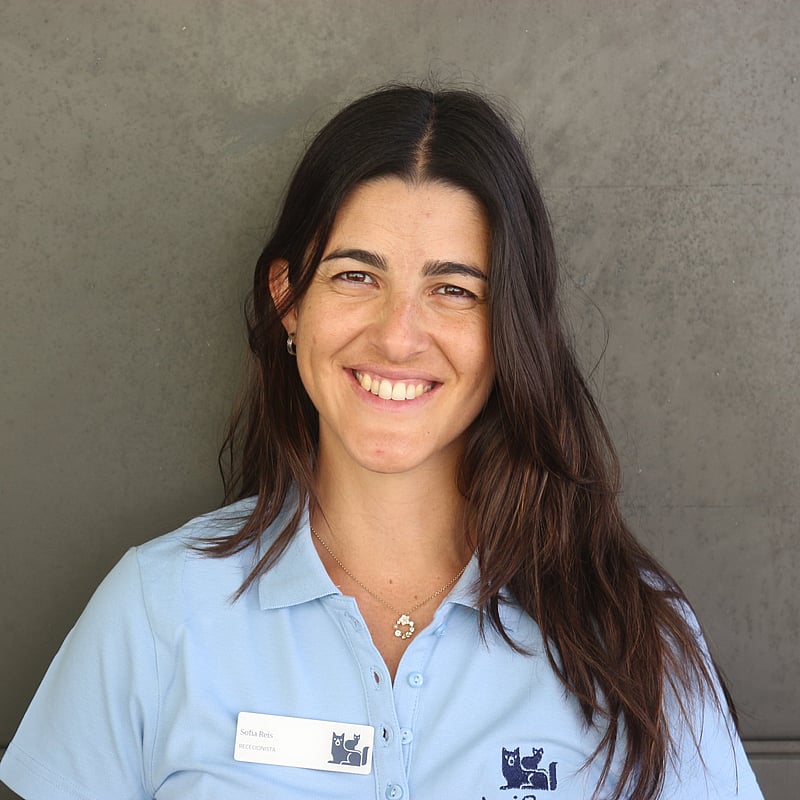 Fotografia de Sofia Reis, Recepcionista