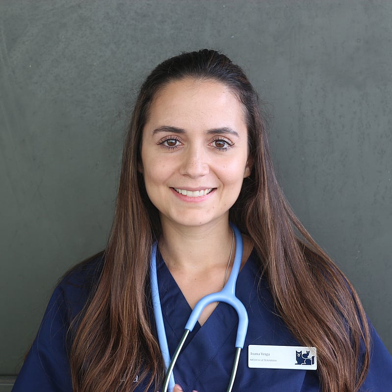 Fotografia de Joana Veiga, Médica Veterinária